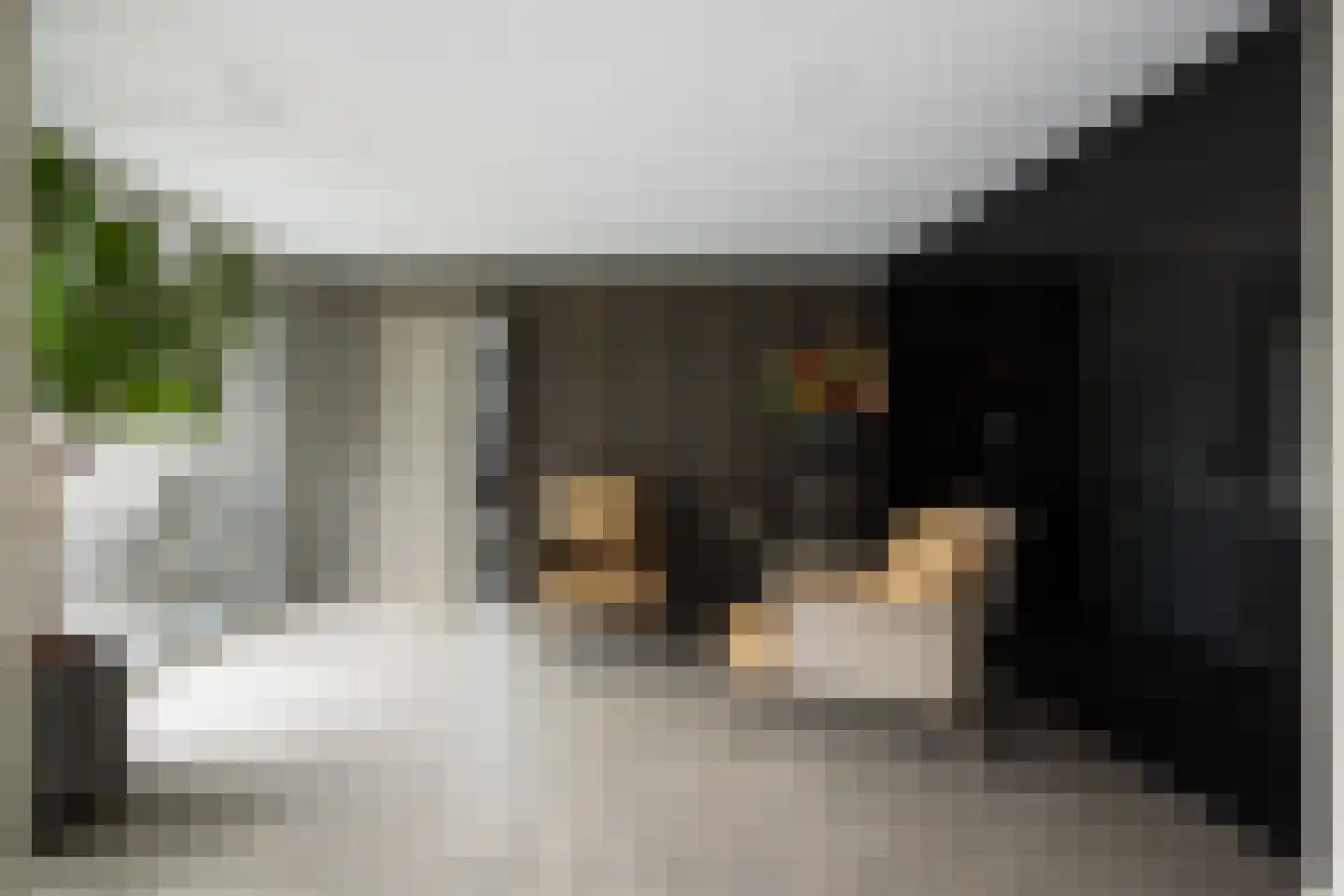 Lage Driesstraat 24 Helvoirt thumbnail 19