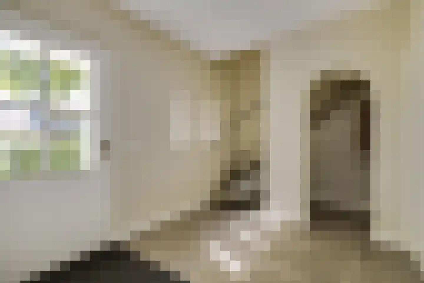 Lage Driesstraat 24 Helvoirt thumbnail 23