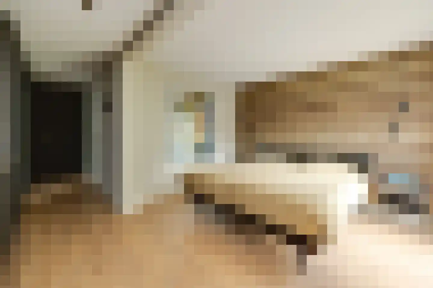 Lage Driesstraat 24 Helvoirt thumbnail 24