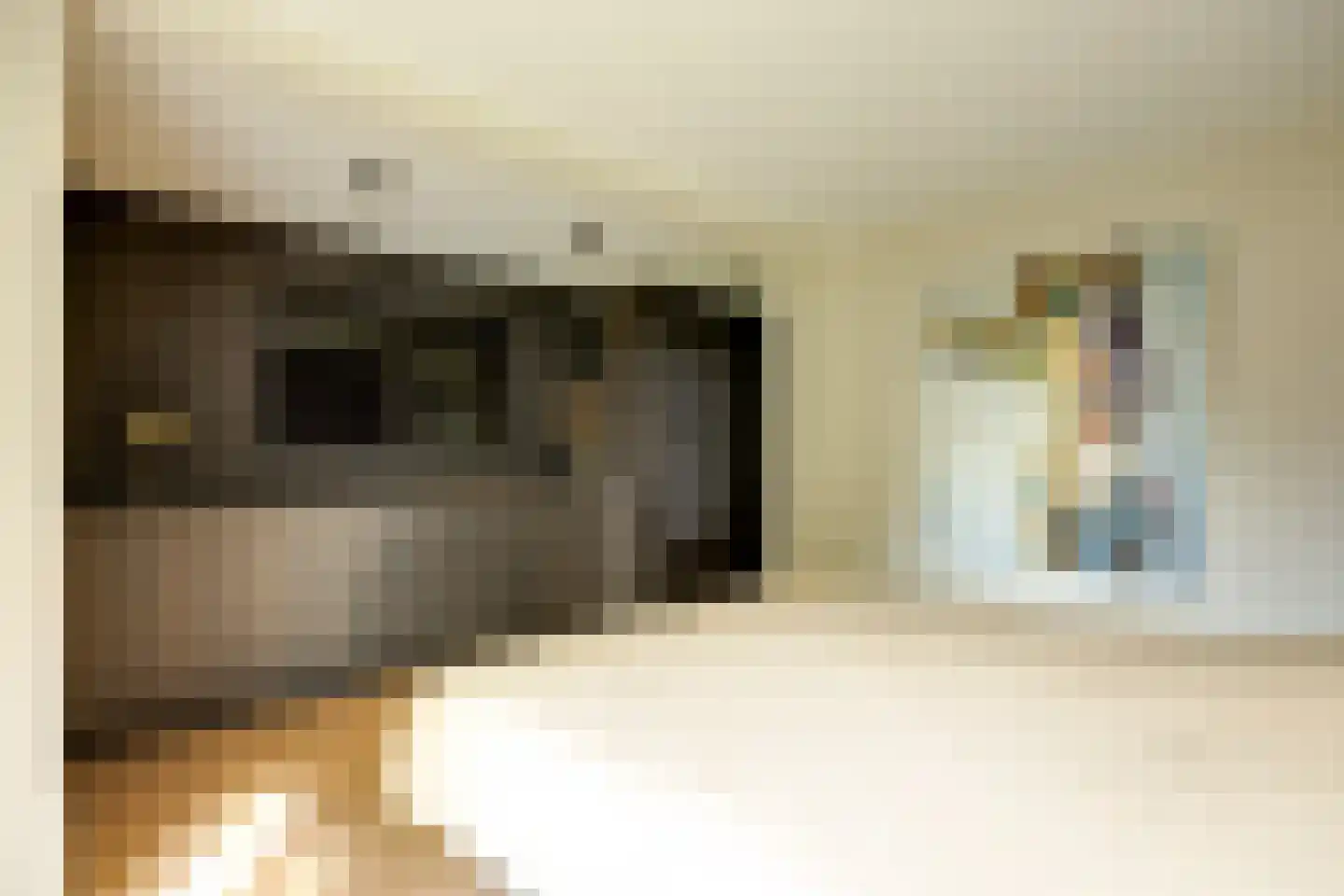 Lage Driesstraat 24 Helvoirt thumbnail 25