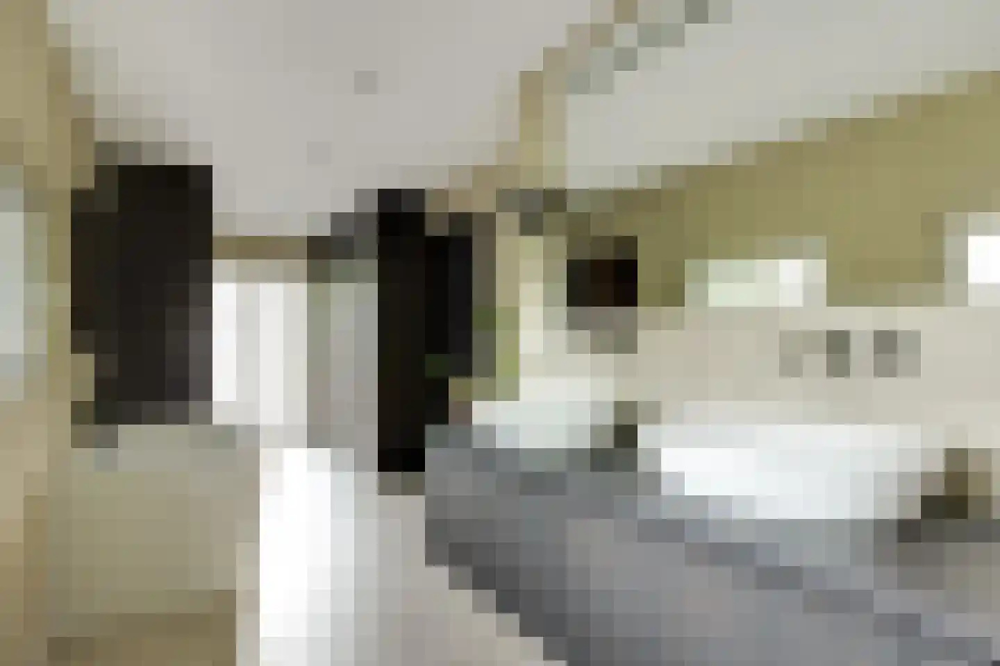 Lage Driesstraat 24 Helvoirt thumbnail 28