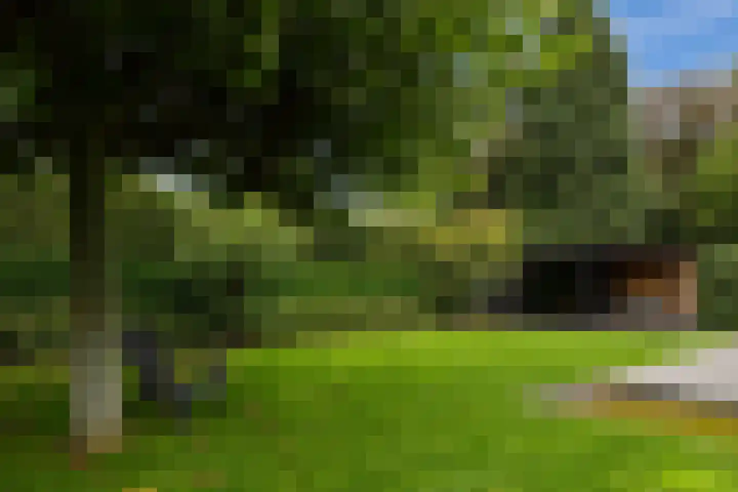 Lage Driesstraat 24 Helvoirt thumbnail 39