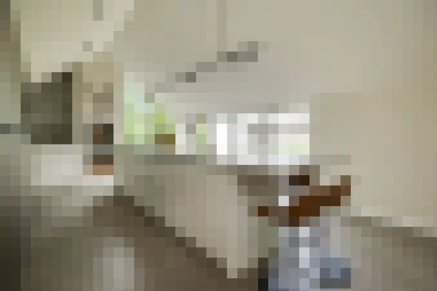 Lage Driesstraat 24 Helvoirt thumbnail 4