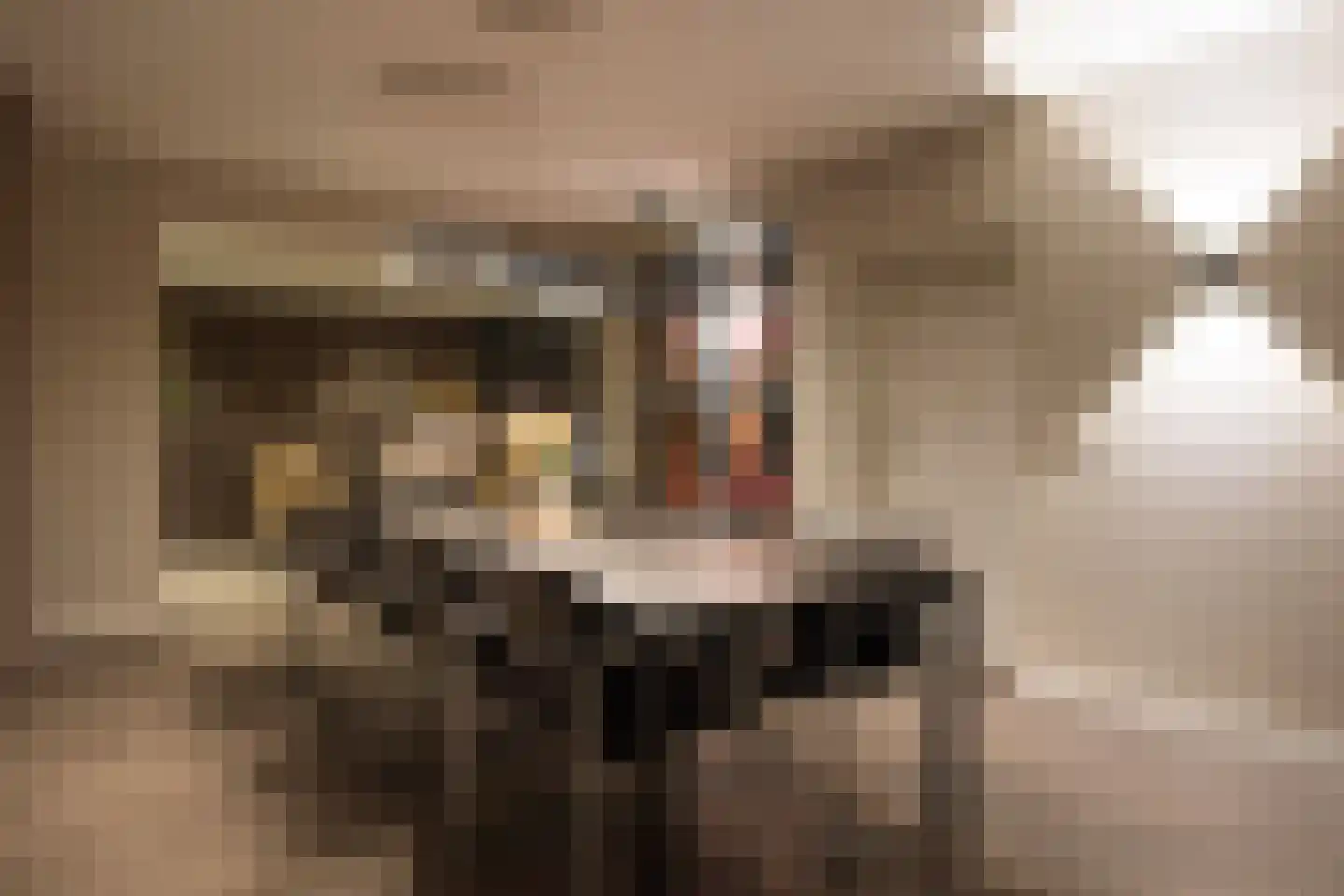 Lage Driesstraat 24 Helvoirt thumbnail 9