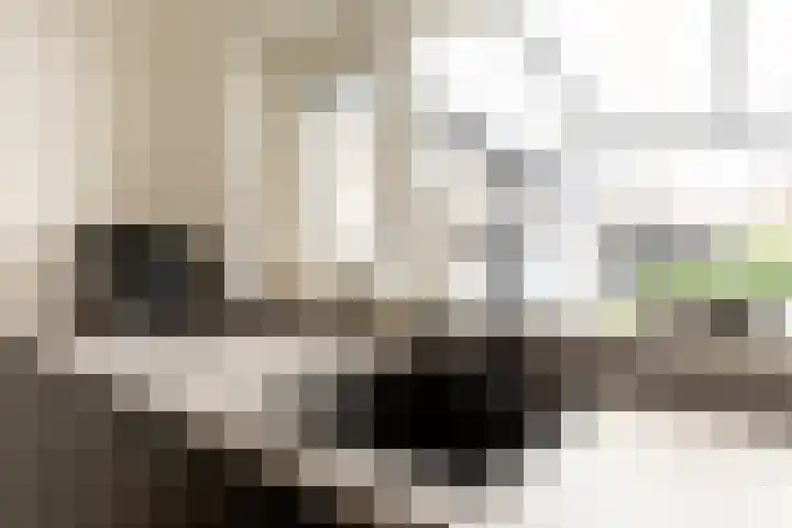 Lage Driesstraat 4 Helvoirt thumbnail 10