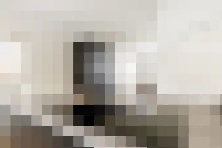 Lage Driesstraat 4 Helvoirt thumbnail 11