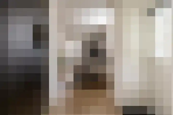 Lage Driesstraat 4 Helvoirt thumbnail 12
