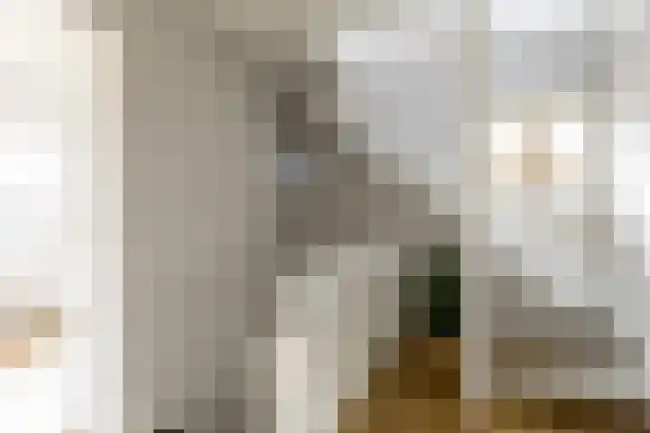 Lage Driesstraat 4 Helvoirt thumbnail 23