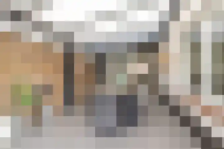 Lage Driesstraat 4 Helvoirt thumbnail 30