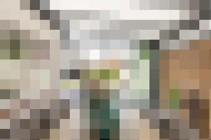 Lage Driesstraat 4 Helvoirt thumbnail 31