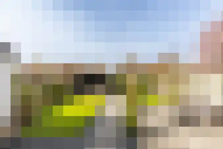 Lage Driesstraat 4 Helvoirt thumbnail 35