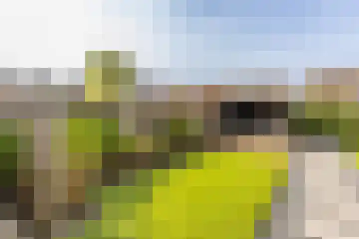 Lage Driesstraat 4 Helvoirt thumbnail 36