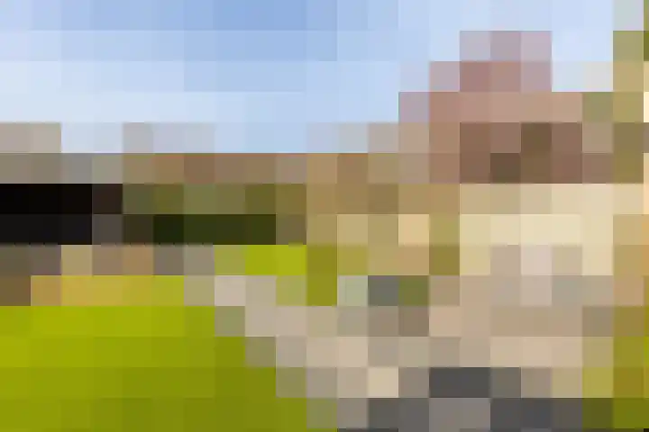 Lage Driesstraat 4 Helvoirt thumbnail 37
