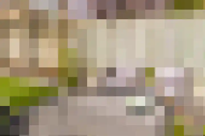 Lage Driesstraat 4 Helvoirt thumbnail 38