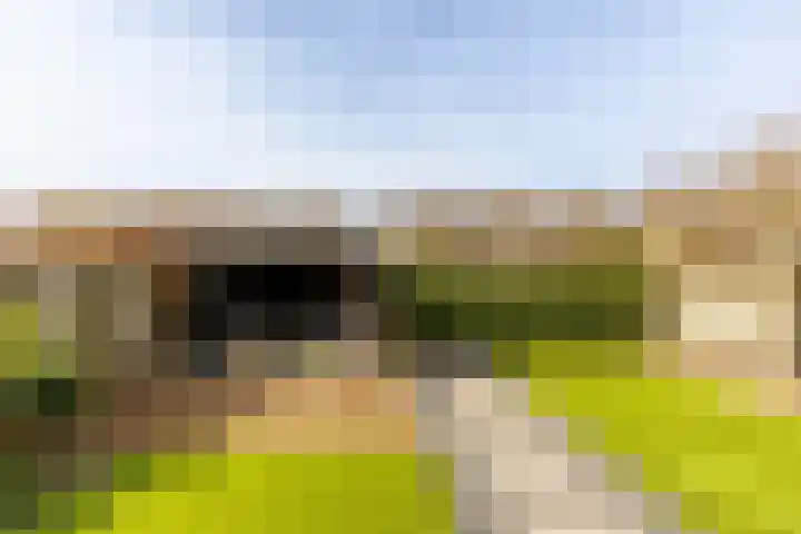 Lage Driesstraat 4 Helvoirt thumbnail 39