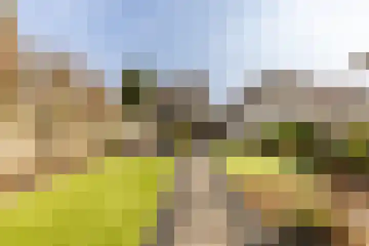 Lage Driesstraat 4 Helvoirt thumbnail 41