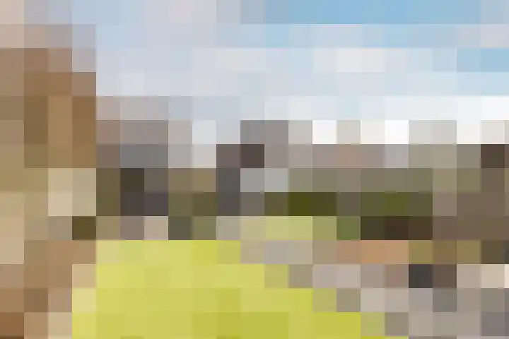 Lage Driesstraat 4 Helvoirt thumbnail 42
