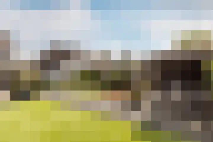 Lage Driesstraat 4 Helvoirt thumbnail 43