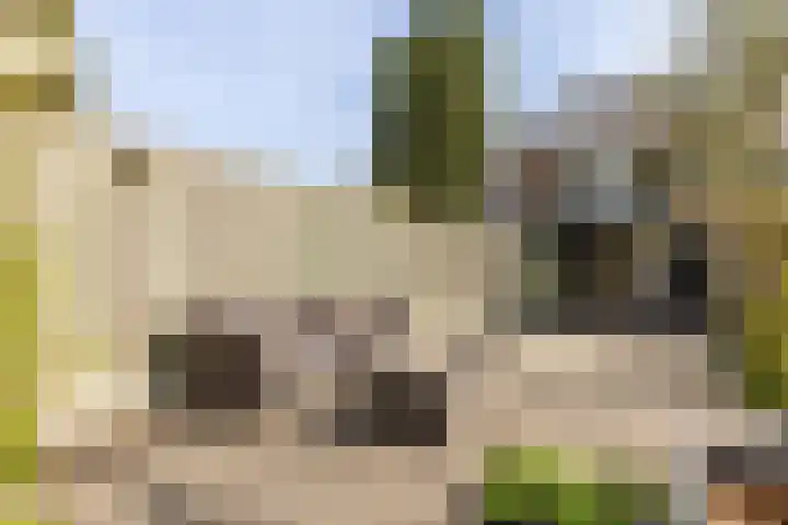 Lage Driesstraat 4 Helvoirt thumbnail 44