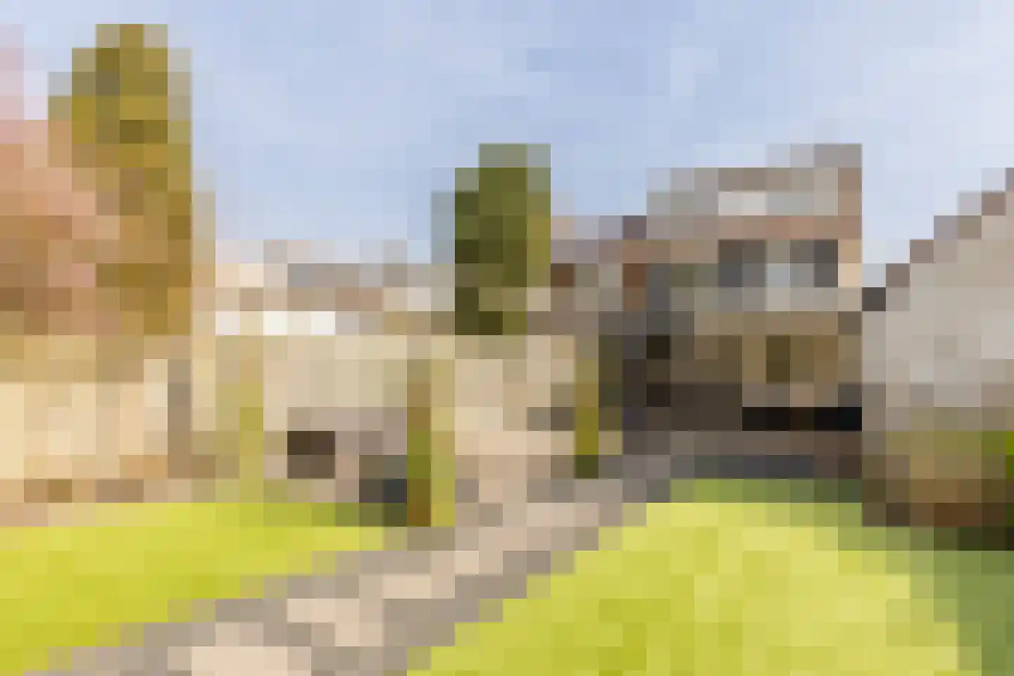 Lage Driesstraat 4 Helvoirt thumbnail 56