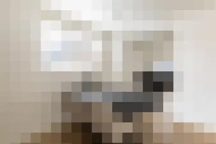 Lage Driesstraat 4 Helvoirt thumbnail 7