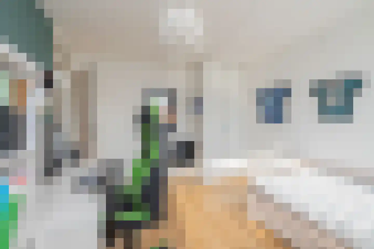 Lage Duin 14 Bennebroek thumbnail 20