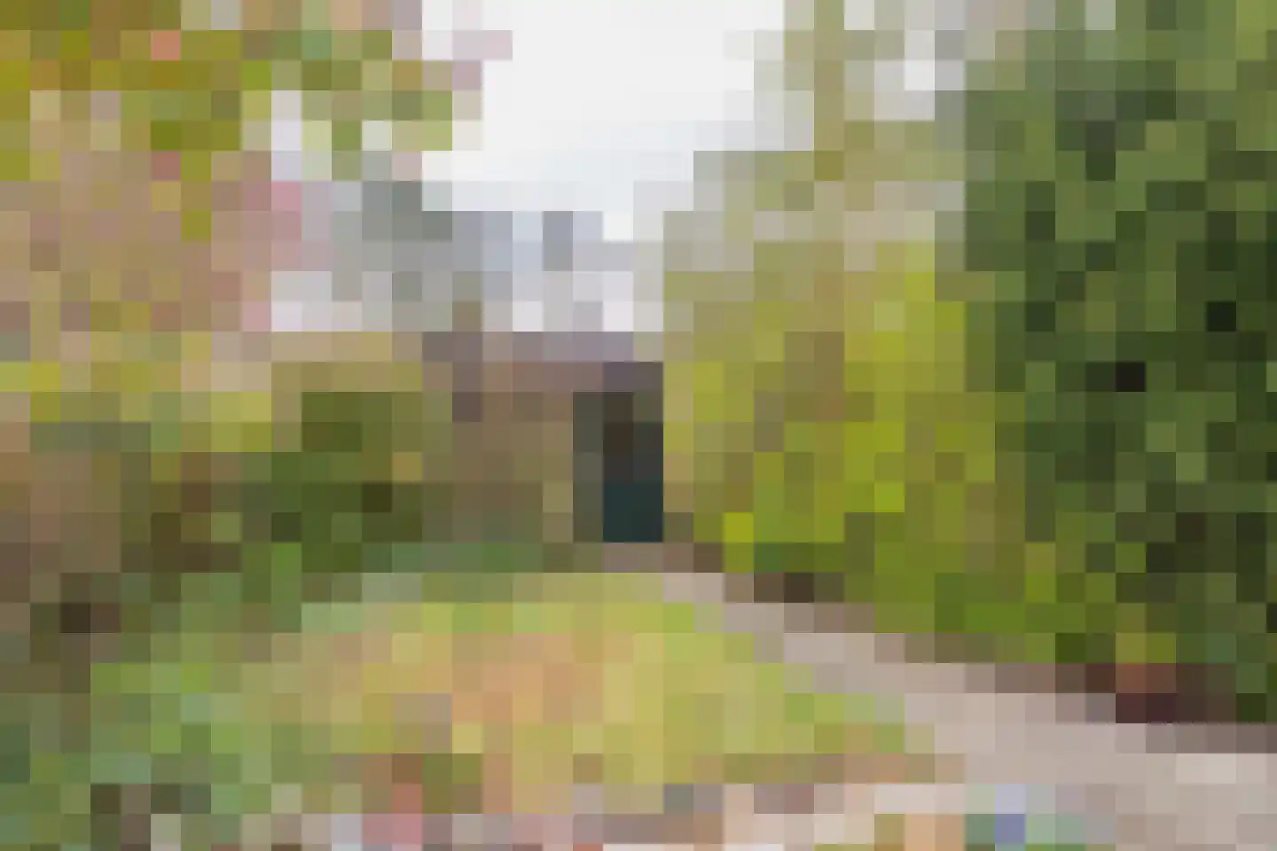 Lage Duin 19 Bennebroek thumbnail 14