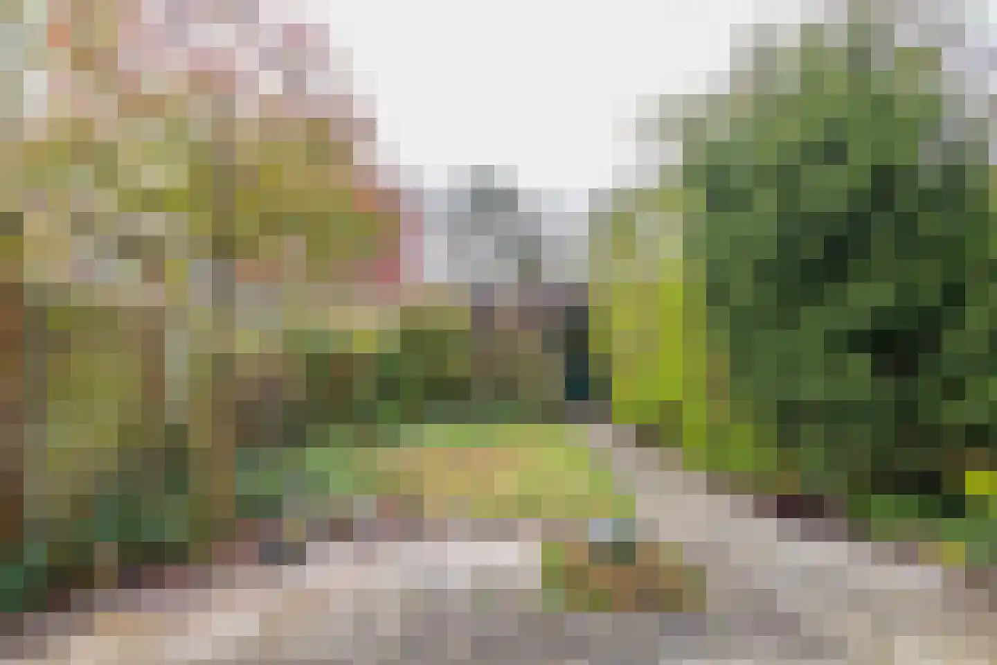 Lage Duin 19 Bennebroek thumbnail 15