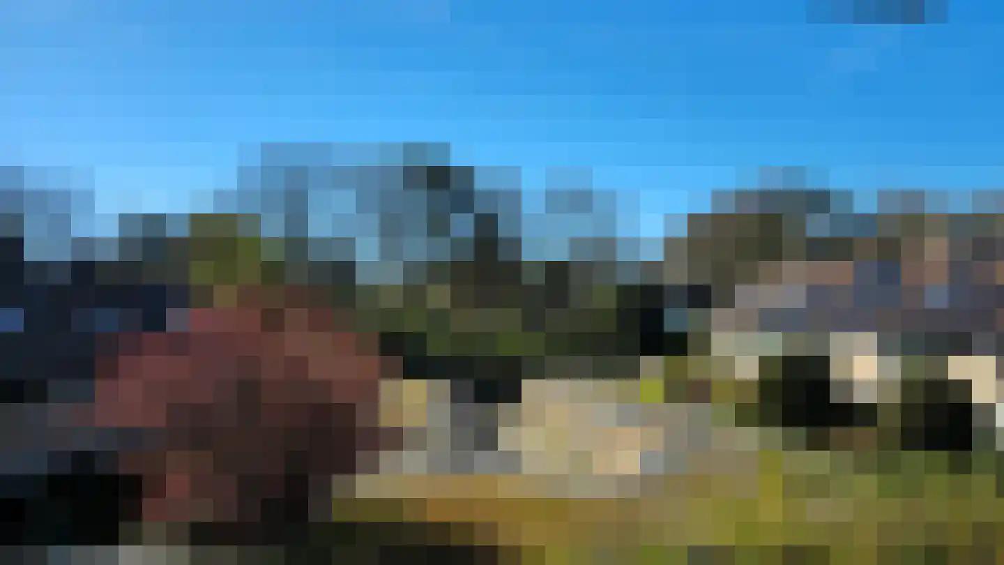 Lage Duin 19 Bennebroek thumbnail 40