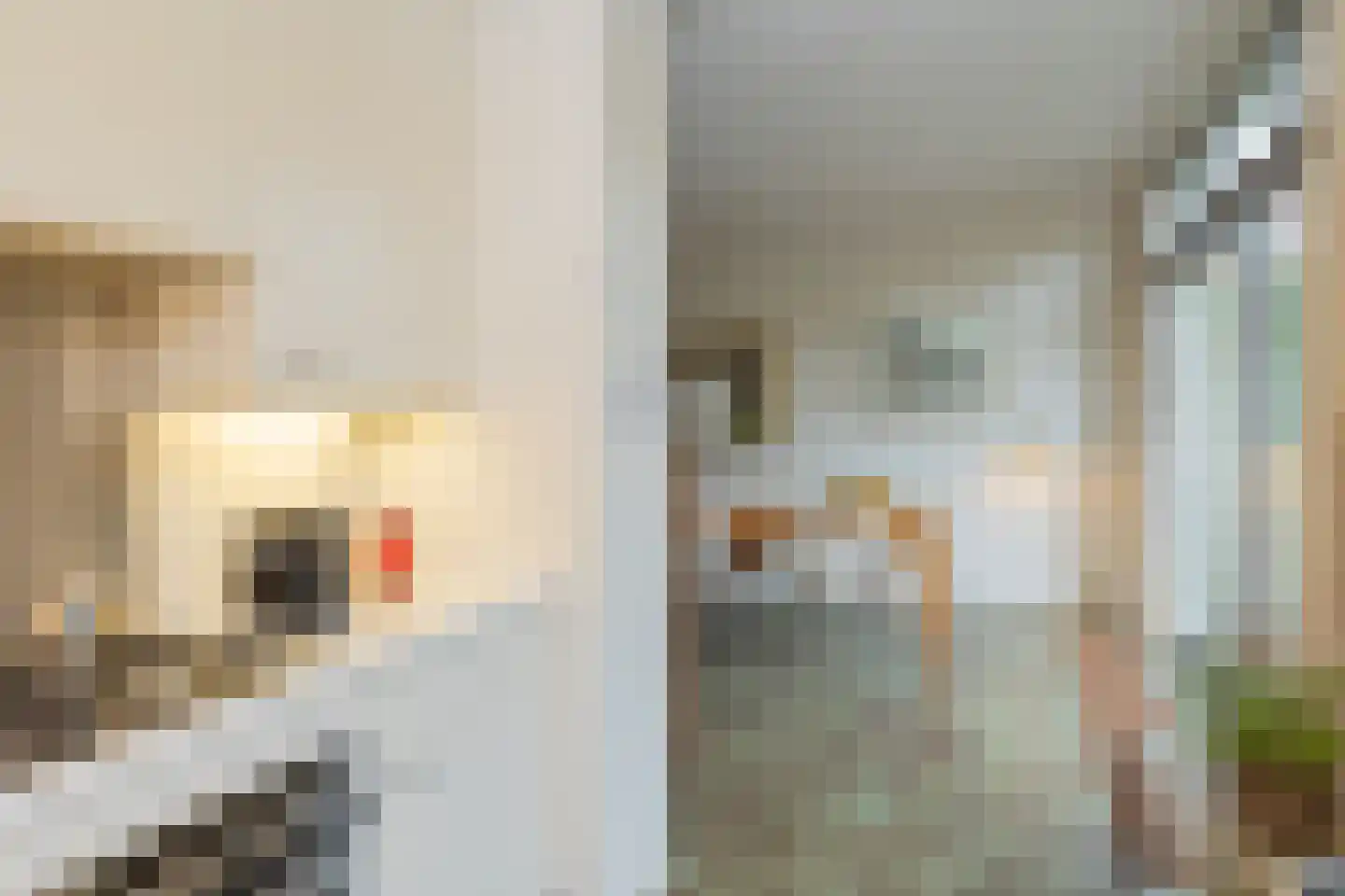 Lage Duin 23 Bennebroek thumbnail 17