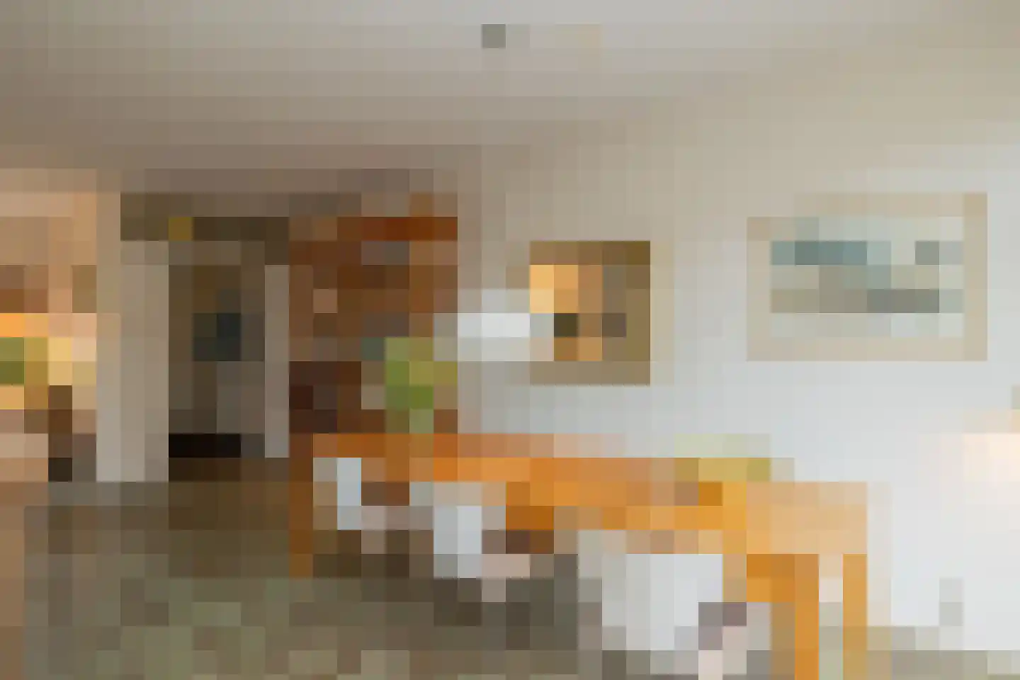 Lage Duin 23 Bennebroek thumbnail 18