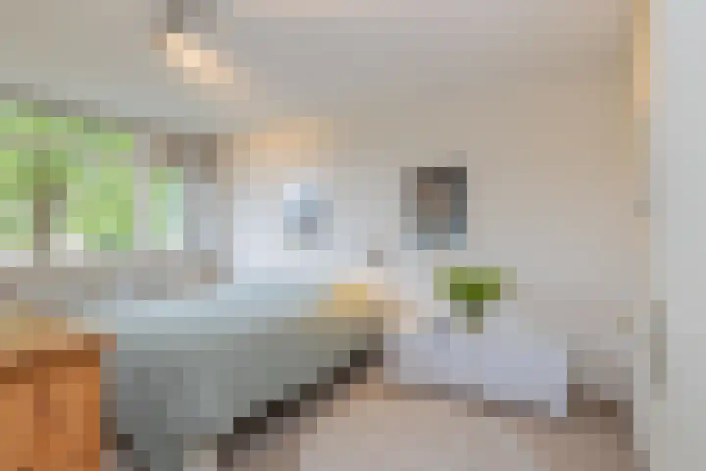 Lage Duin 23 Bennebroek thumbnail 26