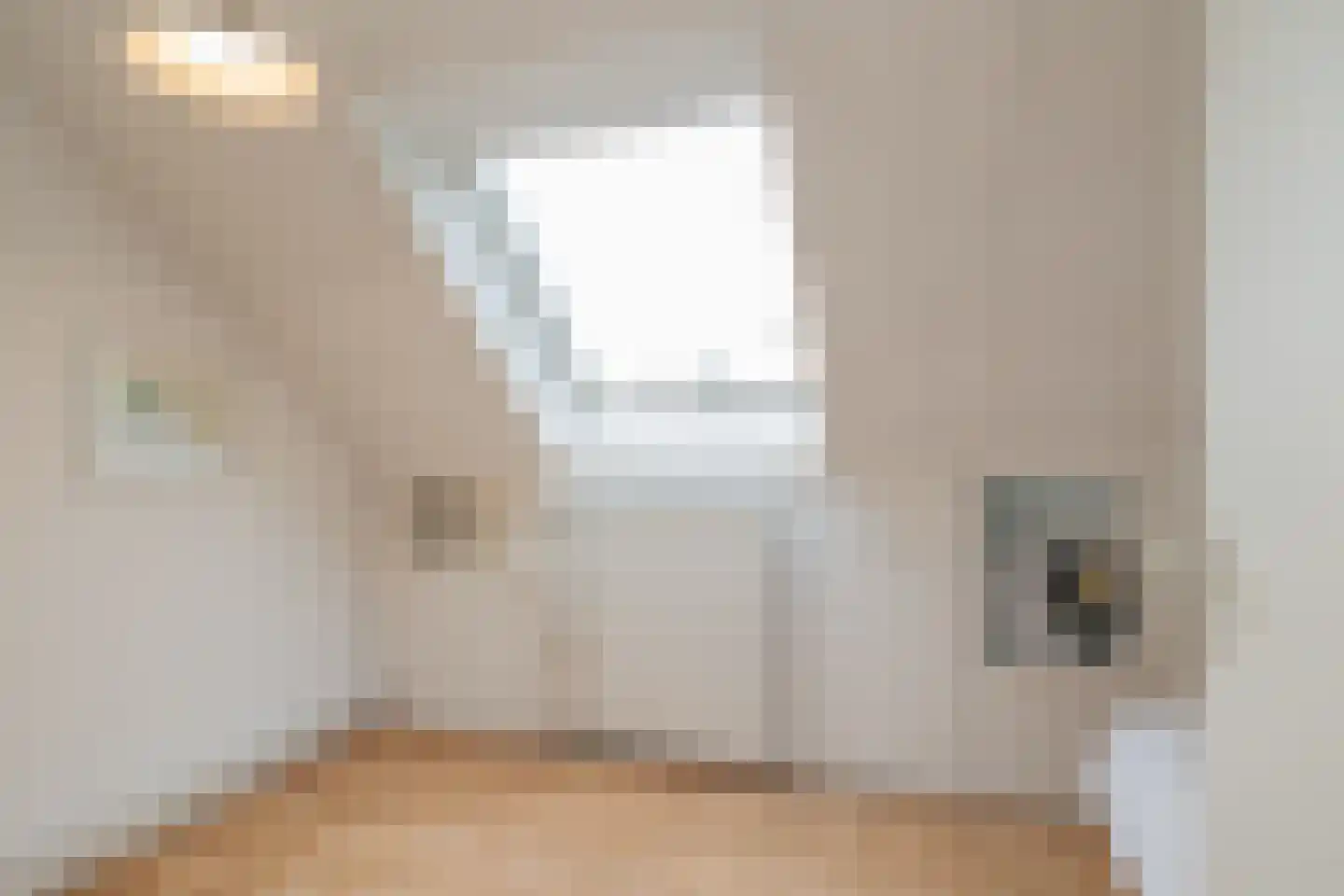 Lage Duin 23 Bennebroek thumbnail 36