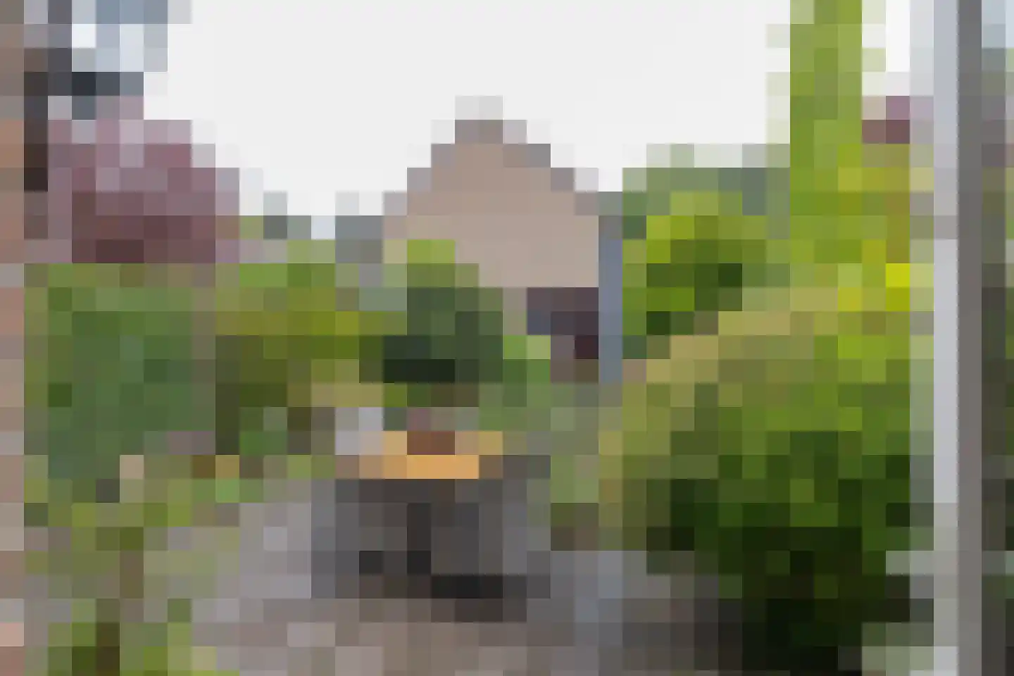 Lage Duin 23 Bennebroek thumbnail 42