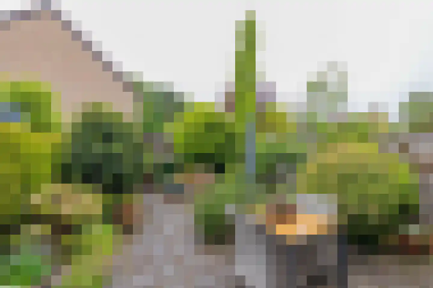 Lage Duin 23 Bennebroek thumbnail 43