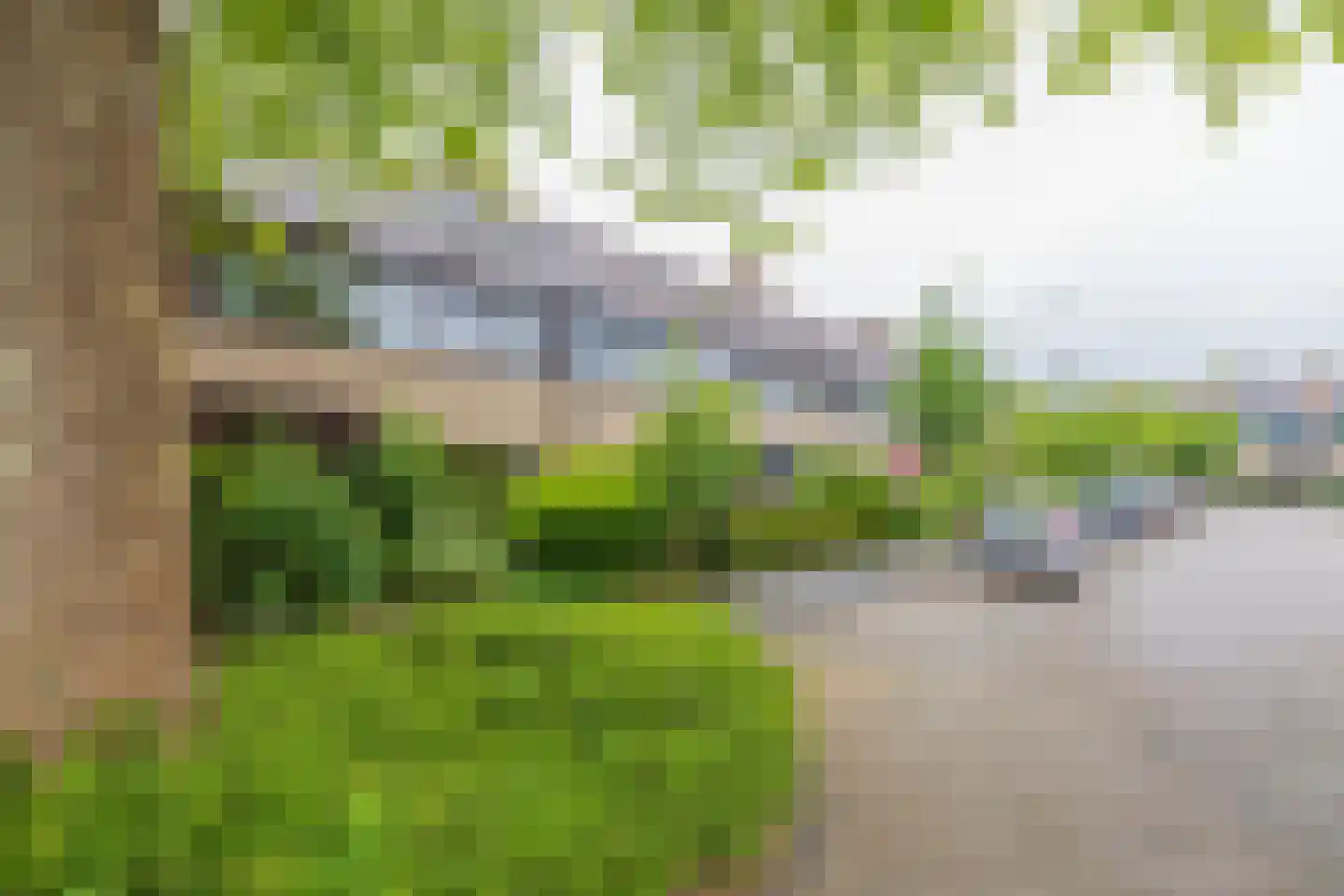 Lage Duin 23 Bennebroek thumbnail 47