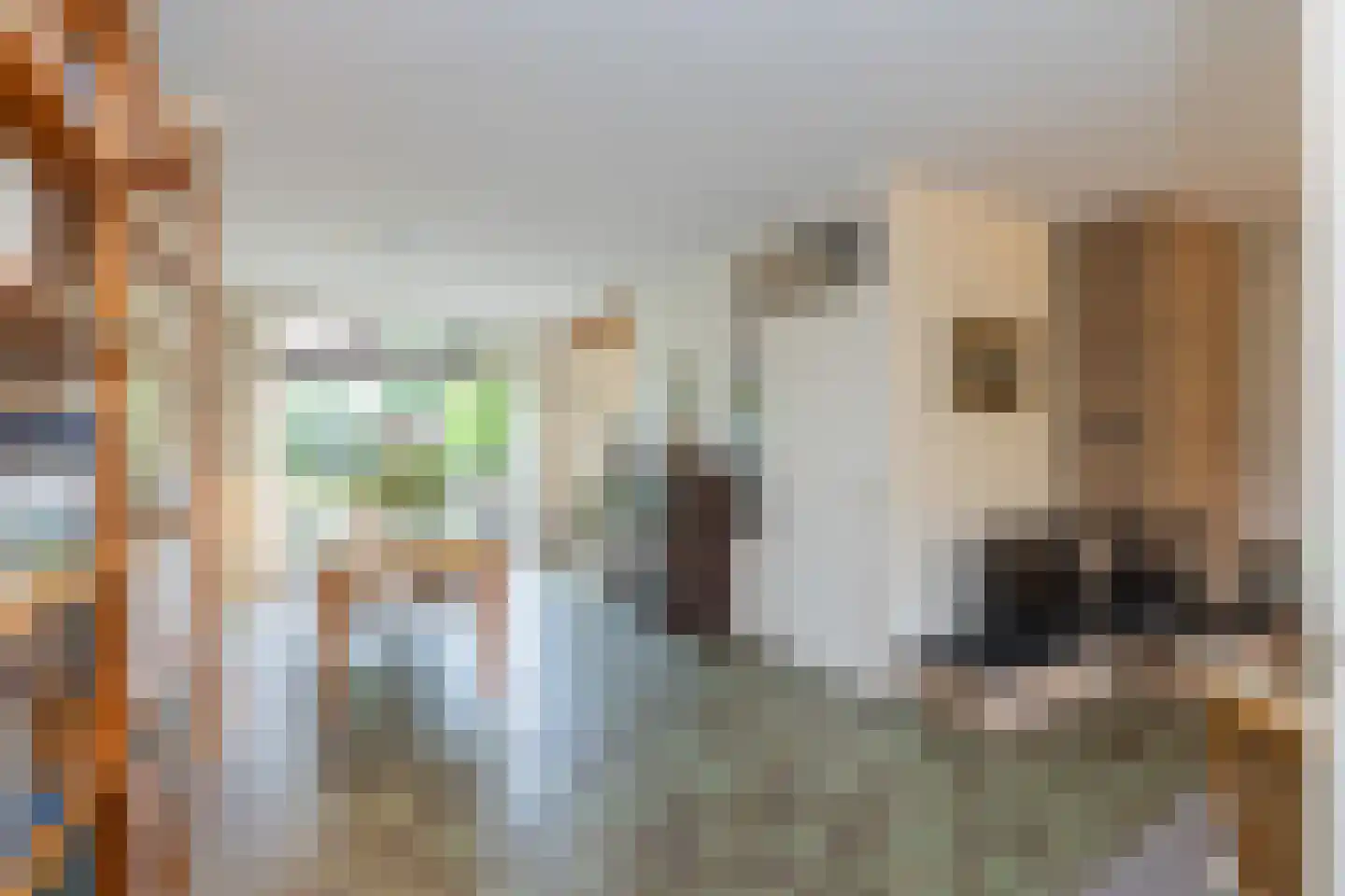 Lage Duin 23 Bennebroek thumbnail 7