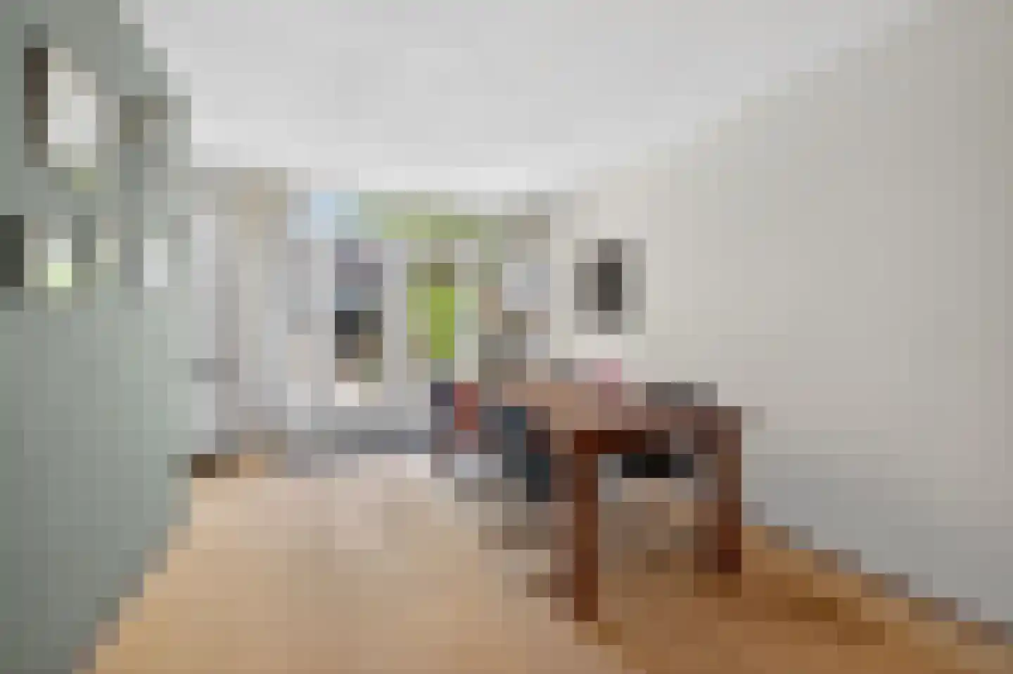 Lage Duin 31 Bennebroek thumbnail 12