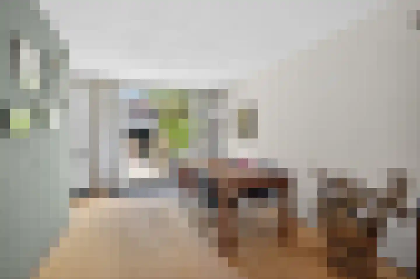 Lage Duin 31 Bennebroek thumbnail 16