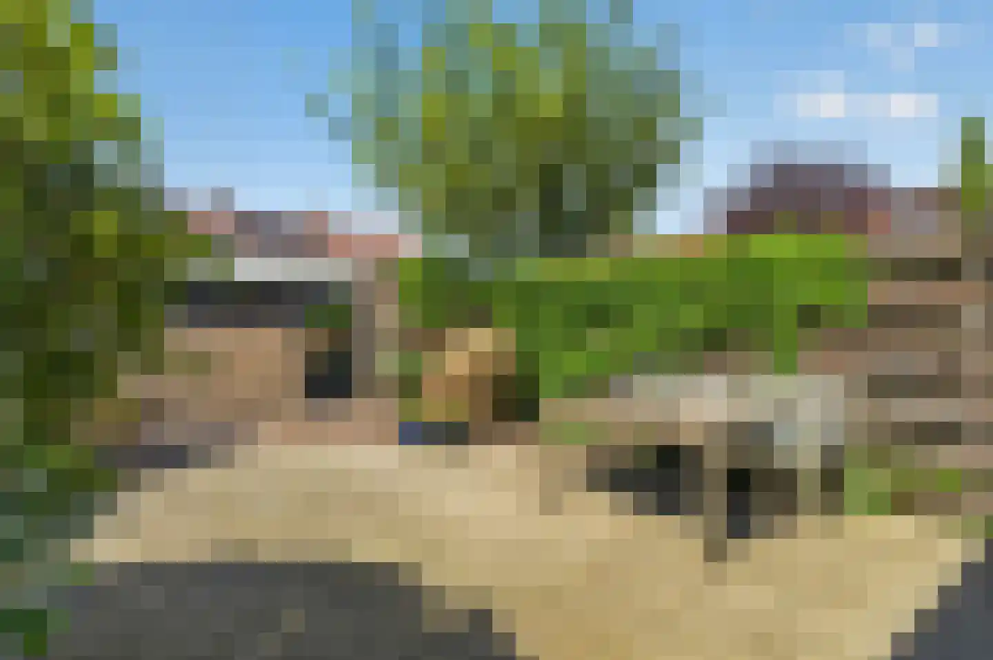 Lage Duin 31 Bennebroek thumbnail 18