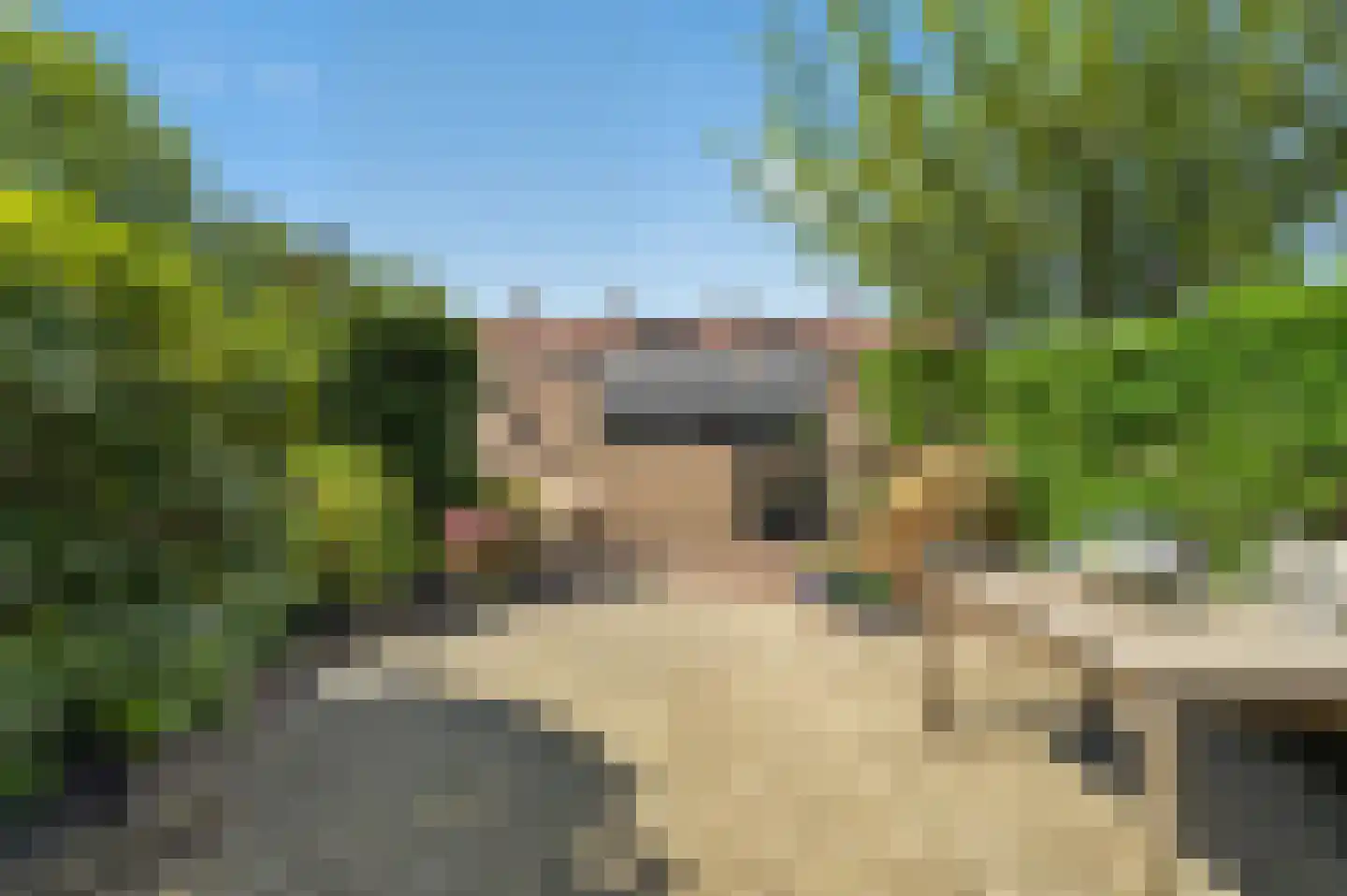 Lage Duin 31 Bennebroek thumbnail 19