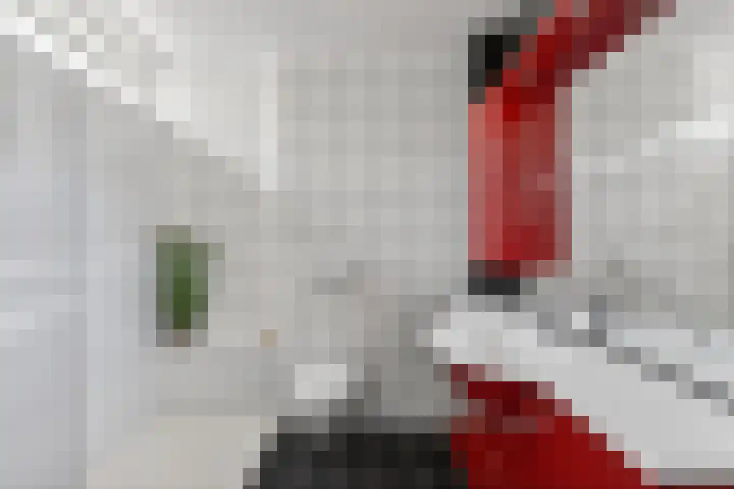 Lage Duin 31 Bennebroek thumbnail 31