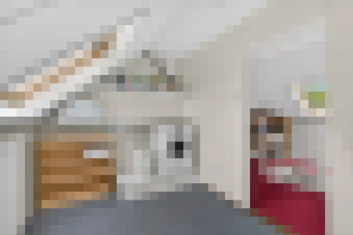 Lage Duin 31 Bennebroek thumbnail 43