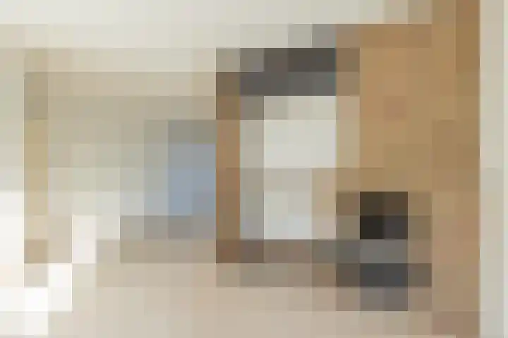 Lage Duin 34 Bennebroek thumbnail 11
