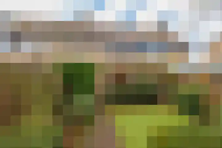 Lage Duin 34 Bennebroek thumbnail 36