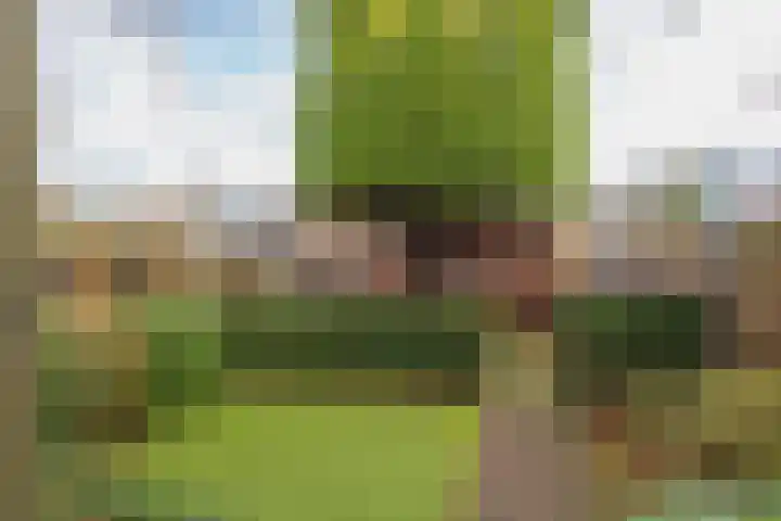 Lage Duin 34 Bennebroek thumbnail 37