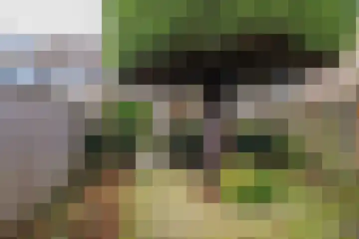 Lage Duin 34 Bennebroek thumbnail 38
