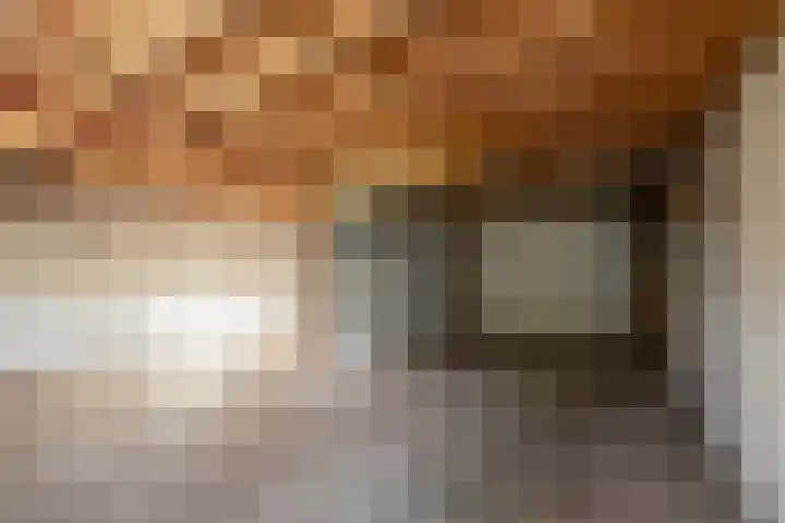 Lage Duin 34 Bennebroek thumbnail 4