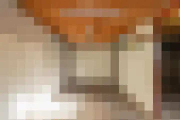Lage Duin 34 Bennebroek thumbnail 41