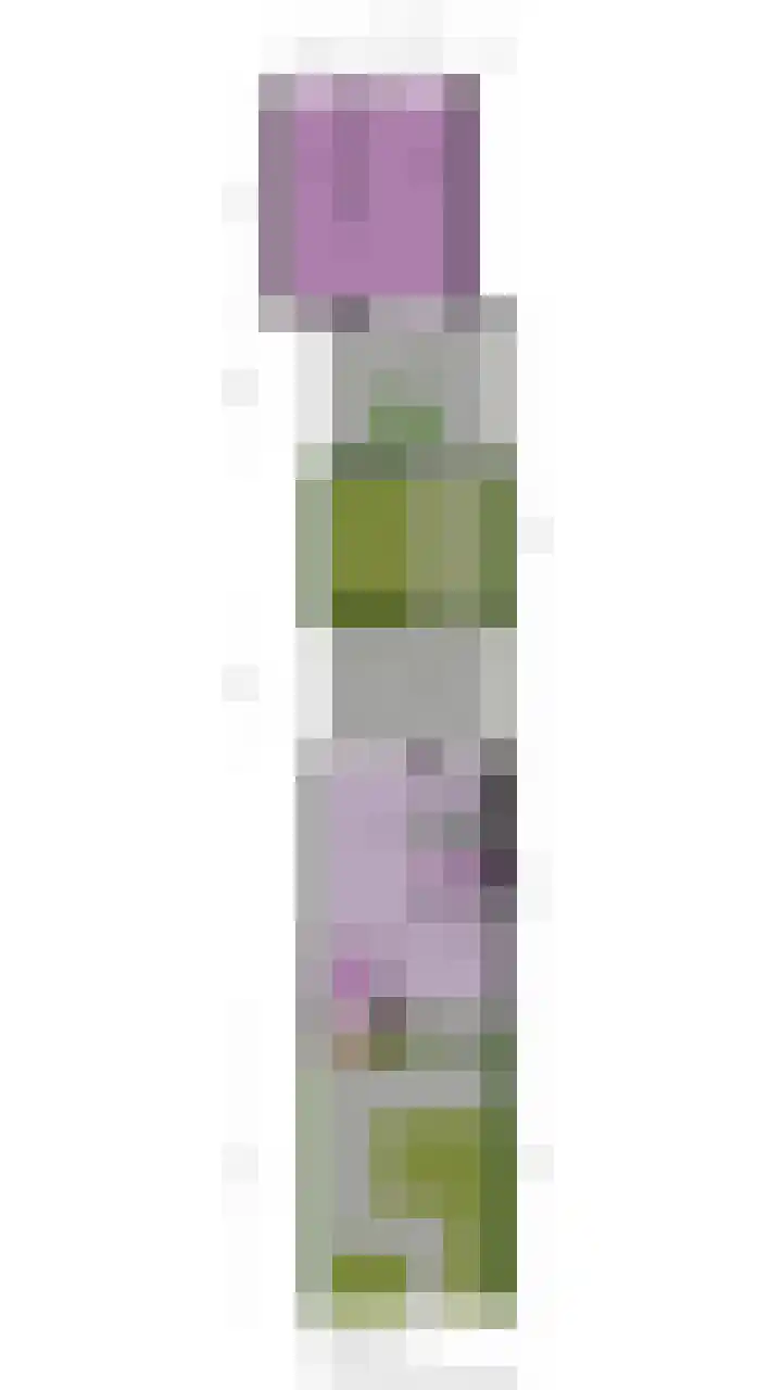 Lage Duin 34 Bennebroek thumbnail 48
